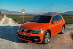 VW Tiguan Rline Gartenmanufactur AG